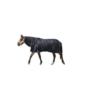 Riding World Couverture d'extérieur pour cheval Eco 600D Combo 220g