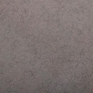 Clairefontaine Paquet de 25 feuilles Etival Color, 25 feuilles, Gris chin&eacute;