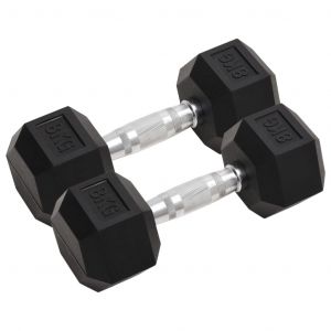 VidaXL Haltères 2 pcs 16 kg Fonte