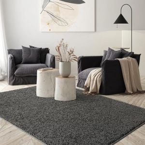 The carpet Port Shaggy Tapis à poils longs pour salon, lavable, antidérapant, hauteur des poils 30 mm, anthracite, 80 x 150 cm