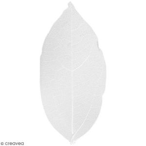 Creotime Feuilles squelettes - Blanc - 6-8 cm - 20 pcs