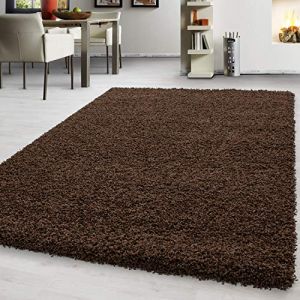 Teppium Uni Tapis de Salon Shaggy Uni Tapis Marron 200x290 cm Chambre Tapis Poil Long Moelleux et Doux