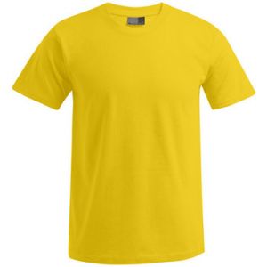 Image de Promodoro T-shirt Premium grandes tailles Hommes, 5XL, or