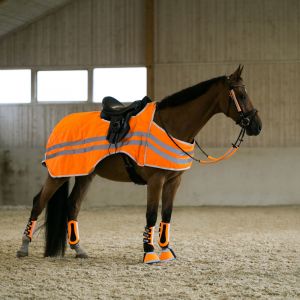 Horze Couverture réfléchissante bZeen - Taille: 145