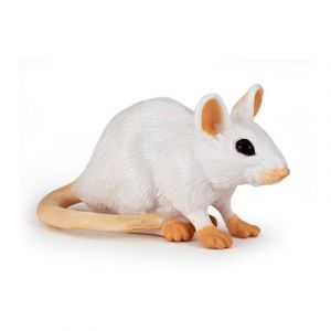 Image de Papo 50222 - Figurine Souris blanche