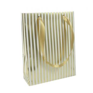 Clairefontaine Premium Trésor, sac moyen 17x6x22cm rayures - Lot de 10