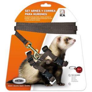 Image de ICA Harnais Furet 5 Kg