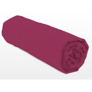 Lovely Home Drap-housse - LH71617 - 90x190+25 cm - Fuchsia
