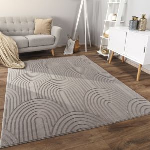 Image de Paco Home - Tapis Salon Chambre Adulte Poils Ras Scandinave Motif Boho Motif Geometrique 120x160 cm, Gris 4