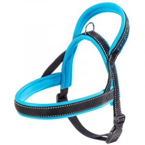 Image de Ferplast BIB SPORT DOG P SMALL AZZURRAA48CM B58-71CM