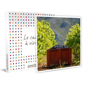 Smartbox Atelier Initiation et D&eacute;gustation Vin Biologique en Domaine Viticole - Coffret Cadeau Gastronomie Multicolore