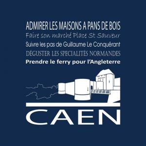 Artis Toile 30x30 caen navy