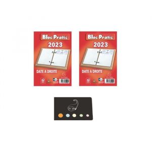 Exacompta Lot De Deux Bloc-Pratic Dates à Droite 2023 + 1 Index Adhésif Blumie