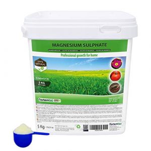 Nortembio Agro Sulfate de Magnésium Naturel 5 Kg. Engrais Universel. Améliore la Croissance des Cultures, Jardins, Plantes.