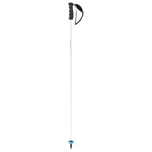Head Bâton de ski Worldcup Rebels