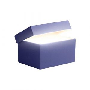 Samsung Mystery Box pour Smartphone