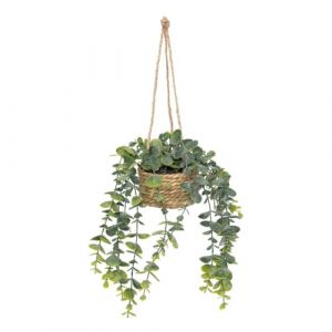 Atmosphera - Plante Artificielle Suspendue Patri H47cm - Modèle a