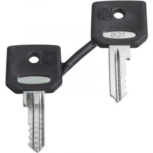 Schneider Electric Harmony clé pour serrure 3131A -jeu de 2 ZBG3131A