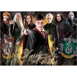 Educa Puzzle 1000 pièces : Harry Potter