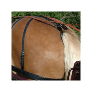 Croupière harnais pour cheval Chetak