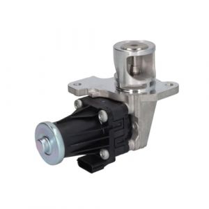 Delphi Vanne EGR pour NISSAN: Juke, Note, NV200, Qashqai & RENAULT: Scénic, Kangoo, Mégane, Clio, Fluence (Ref: EG10553-12B1)