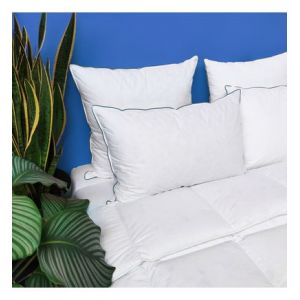 Oreiller MEDIUM 40% Duvet - coton Bio 50x75 cm - Wake Me Green