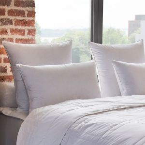 Drouault Oreiller Planète - 15% Duvet Oie - FERME 50x75 cm