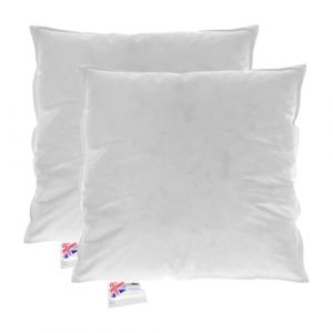 Coussin de garnissage - Homescapes - 35x35 cm - Duvet et plumes d'oie - 100% coton - Lot de 2