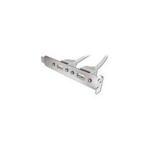 Assmann AK-300301-002-E - Câble bracket slot USB A mâle (2x 5pin IDC)