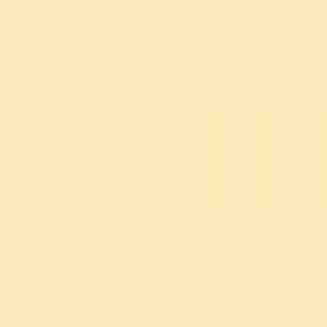 Blanchon Peinture multi-supports application ext&eacute;rieur Ivoire clair RAL 1015 2L