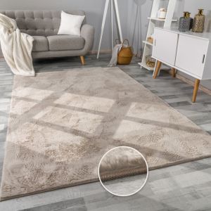 Paco Home - Tapis Salon En Fausse Fourrure Pelucheux Hautes Mèches Doux Plusieurs Couleurs Beige, 300x400 cm