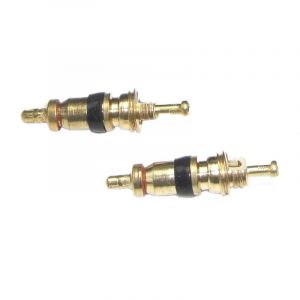 Paire d'obus de valve standard court Mijnenpieper