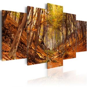 Artgeist Tableau - Automne en orange 100x50