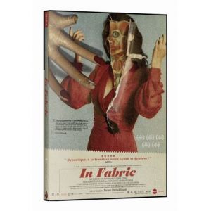 in Fabric [DVD]