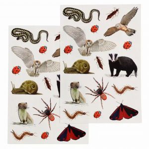 Tatouage enfant Rex London temporaires Nature Trail (x2)
