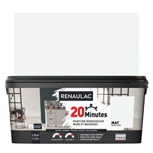 Renaulac Peinture intérieur monocouche 20 Minutes murs et boiseries - 2,5L - 25 m² - Blanc craie Mat