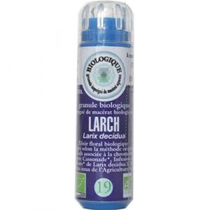 Image de Eumadis Elixirs Floraux de Bach n°19 Larch