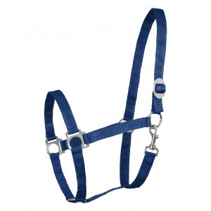 Waldhausen Licol pour cob Perlon