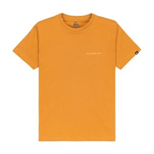 Quiksilver Tee-shirt &agrave; manches courtes gar&ccedil;on ev desert waves
