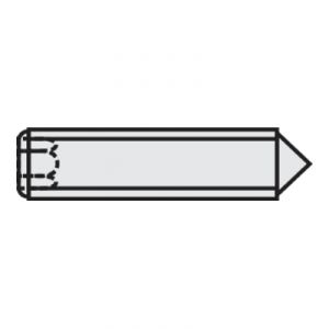 Image de Toolcraft Vis sans tête 6 pans creux acier 45H avec pointe M5 x 10 mm 20 pc(s)