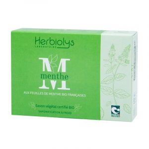 Image de Herbiolys Savon Bio Provence - Menthe - 100 g