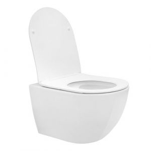 ECD Germany Toilette Suspendu sans Rebord, Blanc Mat, avec Siège WC Amovible en Duroplast,