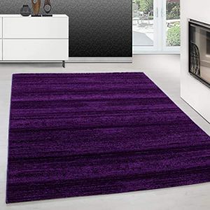 Teppium Tapis de Salon Moderne 200x290 cm - Violet Uni Poil Court et Moelleux Couleurs Tendance