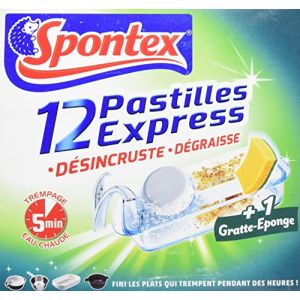 Spontex Kit Fizzz Express Eponge - Lot de 3