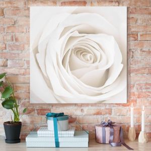 Image de Bilderwelten Tableau déco Pretty White Rose II