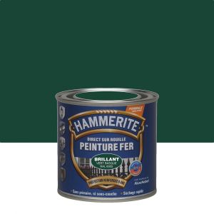 Hammerite Peinture fer Direct sur Rouille Brillant Vert Basque 0,25 L
