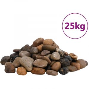 VidaXL Galets Polis 25 Kg Multicolores 2-5 Cm