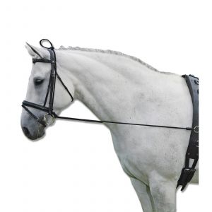Waldhausen Enrênement élastique pour cheval
