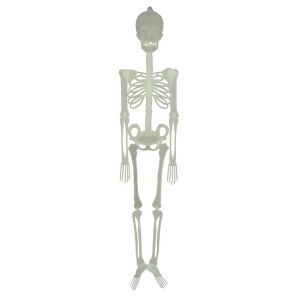 Ruedelafete Squelette phosphorescent 150 cm