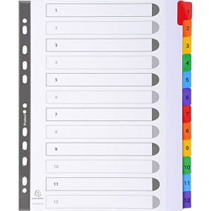 Exacompta 4112E - Intercalaires 1-12 12 positions, format A4+, en carte touches couleurs, coloris blanc